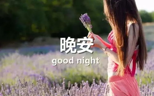 形容月老牵姻缘的句子(形容月老牵姻缘的句子简短)