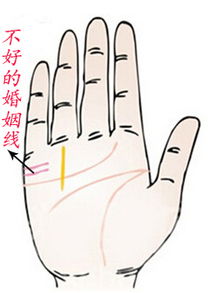 手相算姻缘(手相看姻缘)