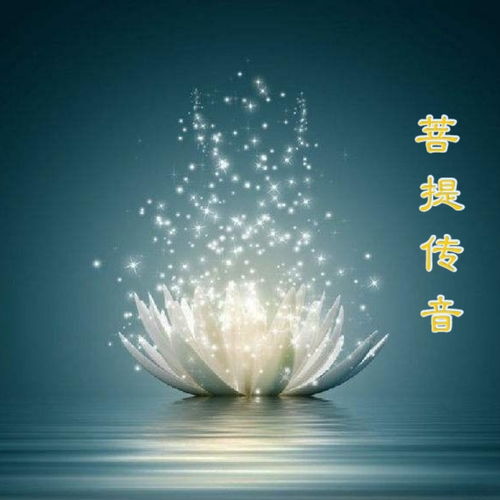 千年姻缘今生爱在线(千年姻缘今生爱免费阅读)