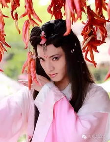 兔儿神弄姻缘十世书包(兔儿神弄姻缘全集)