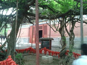 红螺寺姻缘谁成功了(红螺寺为什么求姻缘比较灵)