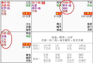 紫薇命盘看姻缘来临(紫薇命盘怎么看婚运)