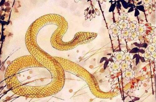 属蛇人属相姻缘配对(属蛇生肖配对姻缘)
