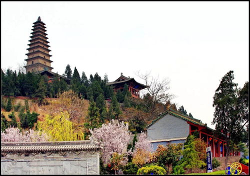 山西普救寺求姻缘(运城普救寺求姻缘灵验吗)