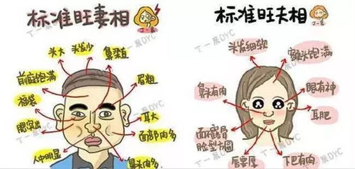 神婆合姻缘(神婆子算婚姻准不准)
