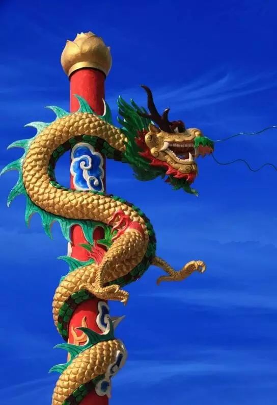 姻缘鲟