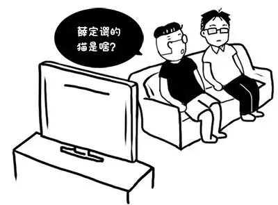 一线姻缘交友网(一线姻缘交友网怎么样)