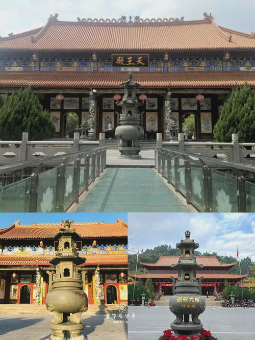 龙华寺求姻缘(龙华寺求姻缘在哪个殿)