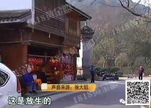 灵隐寺如何求姻缘(灵隐寺求姻缘怎么说)