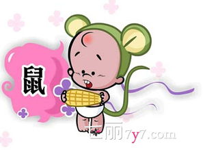 鼠的姻缘搭配(鼠的婚姻匹配属相)