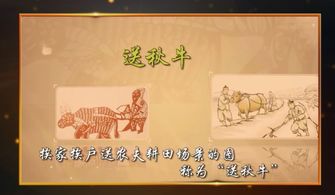 巧配姻缘全场(姻缘巧订)