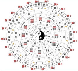 井卦测姻缘(井卦测成绩)