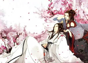 姻缘错冷帝的倾城哑后(姻缘错代嫁狂妃 小说)