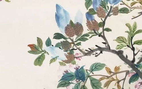 旺姻缘的花(旺姻缘的植物)