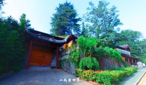 南京哪个寺庙求姻缘(南京什么寺求姻缘)