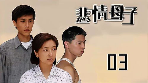 母孑姻缘(母子姻缘大结局)
