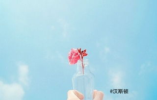 姻缘到了(姻缘到了就会结婚吗)