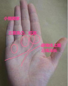 断掌姻缘(断掌姻缘线怎么看)