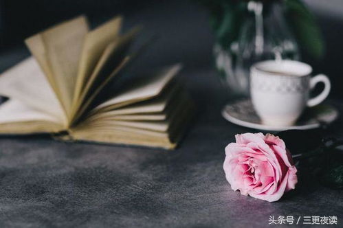 姻缘签上上签的句子(姻缘签上上签的经典句子)