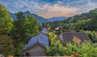 潭柘寺姻缘(潭柘寺姻缘在哪个庙求)