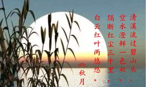 水姻缘是什么意思(水姻缘这首表达什么)