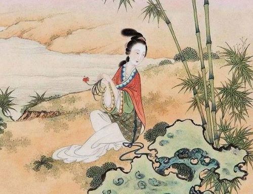 诉姻缘