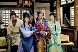 天地姻缘七仙女演员(天地姻缘七仙女演员介绍)