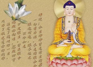 结姻缘咒(姻缘咒灵验吗)