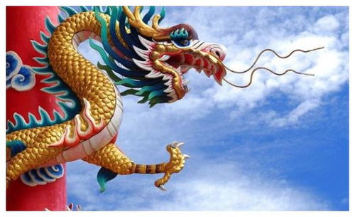 属龙人姻缘(属龙人姻缘如何改善)