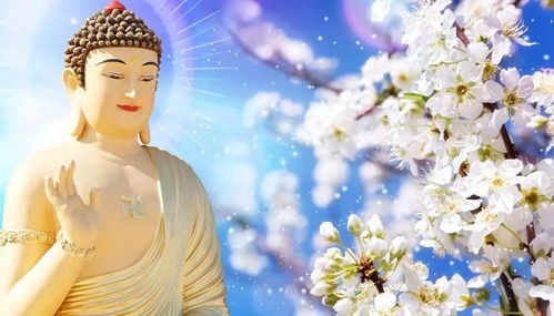 菩萨求姻缘(求姻缘对菩萨说什么)