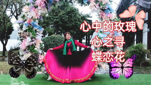 献姻缘(献姻缘歌曲)