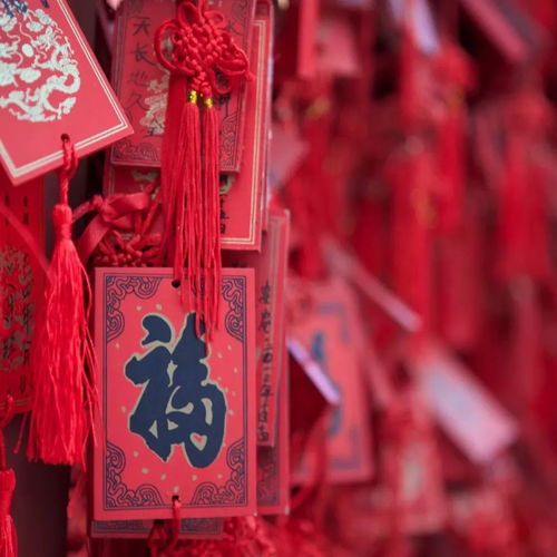 金锁姻缘(算命中说的金锁是什么意思)