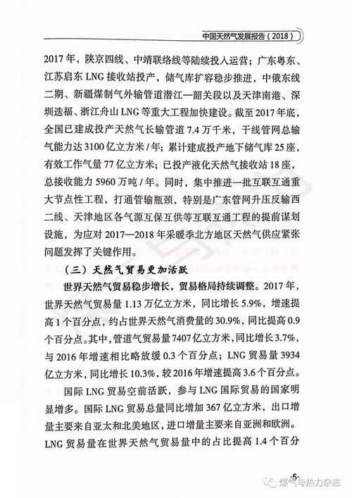 姻缘报告(姻缘表文全卷)