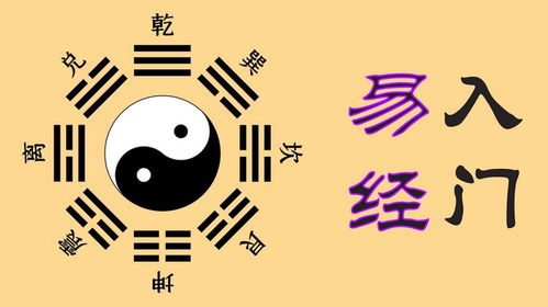 随卦姻缘(易经随卦对婚姻的预示)