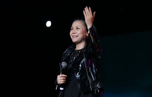 田震水姻缘(田震水姻缘mv故事)
