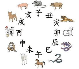 生肖配对姻缘表(生肖的配对表)