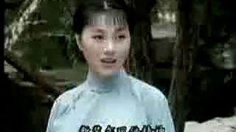 黄梅戏啼笑姻缘(黄梅戏啼笑姻缘周莉)