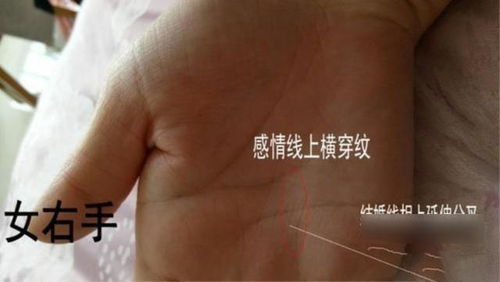 手相姻缘线(手相姻缘线怎么看)