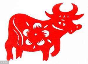 姻缘牛(姻缘牛配什么生肖好)