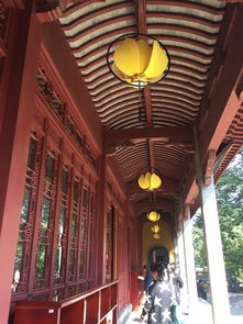 灵隐寺求姻缘(灵隐寺求姻缘灵吗)