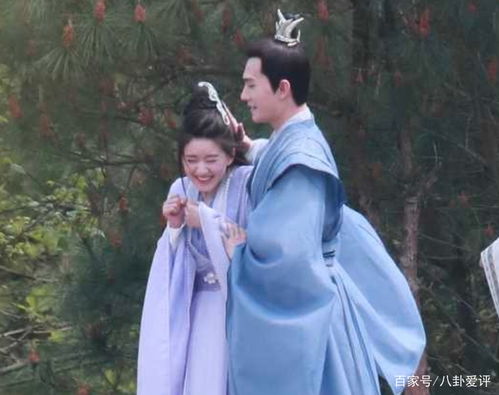 落花时节又逢君热播短剧，落花时节又逢君是什么剧