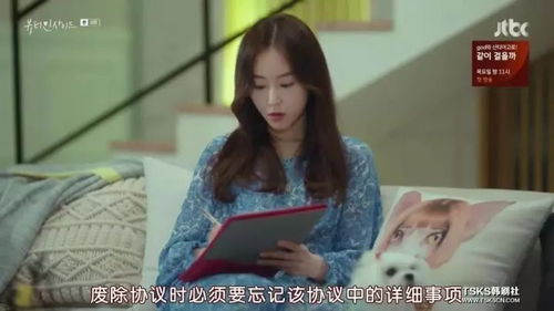 艾莉热播短剧有哪些电视剧 - 艾莉热播短剧有哪些电视剧啊