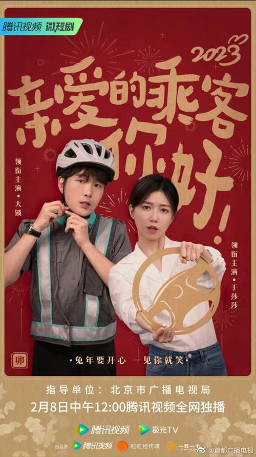 热播短剧当家做主全集，当家做主电视剧