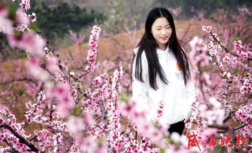 热播短剧春棠欲醉后续，春棠花娇