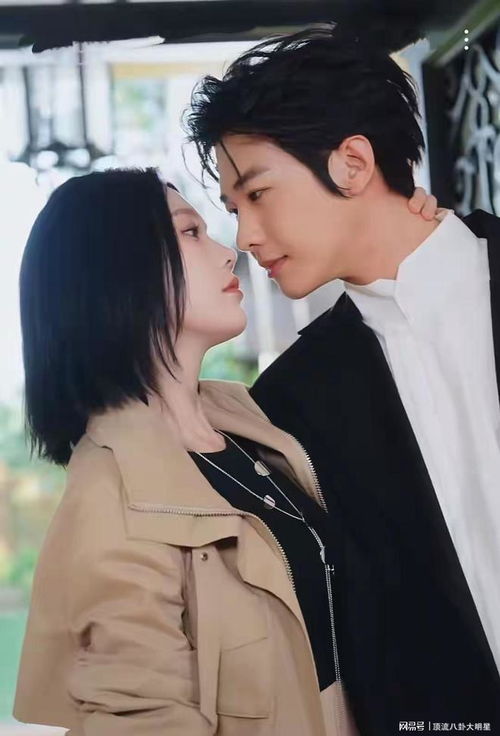 热播短剧一见钟情全集 - 热播短剧一见钟情全集在线观看