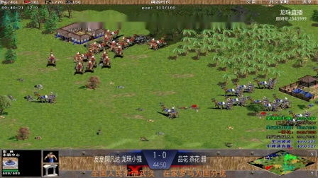 主宰热播短剧在线观看全集，主宰全集 完整版