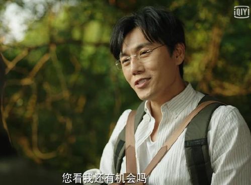 柴慧欣岑明最新短剧热播：柴慧萍图片