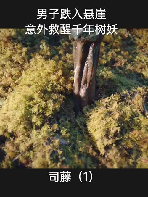 热播短剧最新发布视频，热播剧剪辑