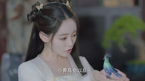 古装热播短剧片段推荐女主：古装女主视频