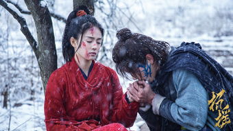 霜雪热播短剧免费观看高清（霜雪啥意思）